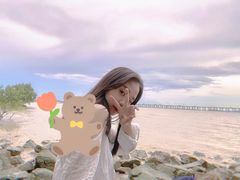 -宝安西湾红树林湿地公园