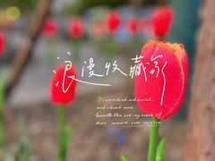 -嬉乐湾休闲旅游区