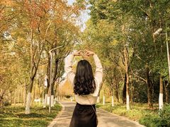 -昆山城市生态森林公园