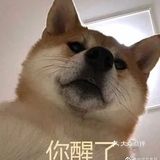 酸奶鸡蛋饼 健能酸奶100g