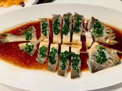 -西郊5号·Maggie 5