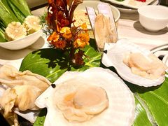 -汤城·料青山