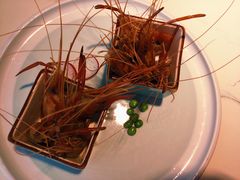 -姜君·千岛湖鱼头馆(浦东大道店)