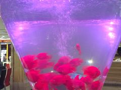 -0791赣菜新概念(福州路店)