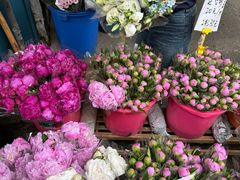 -循礼门鲜花花市(武汉循礼门店)