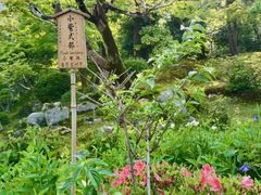 -三千院