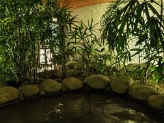 -三江森林温泉度假区