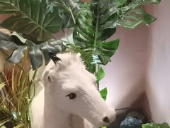 -桃园农庄烤全羊(江秋路店)
