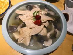 -素虎小呆鸟(西二旗店)
