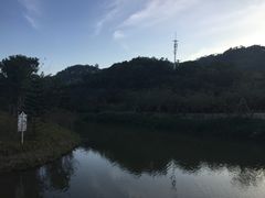 -丹樱生态园