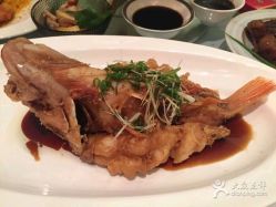 点击看大图 -中茵皇冠假日酒店·宴会厅