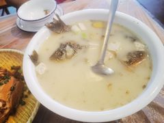 豆腐鲫鱼汤-张鲫鱼家常菜