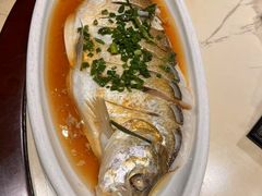 -张鸟园农家乐(张鸟园店)