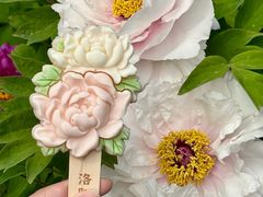 -洛阳市隋唐城遗址植物园