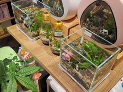 -酷乐潮玩(城西银泰城店)