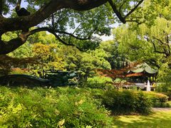 -申粤轩酒楼·三十年粤菜经典(丁香花园店)
