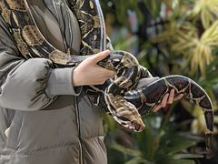 -大连森林动物园