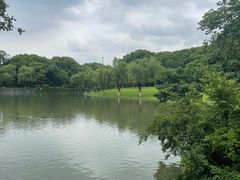 -上海方塔园
