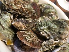 大生蚝-海味当家·蒸锅海鲜(中山广场创始店)