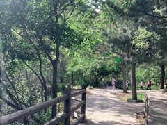 -京东石林峡风景区