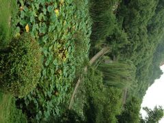iphone_upload_pic-灵岩山风景区