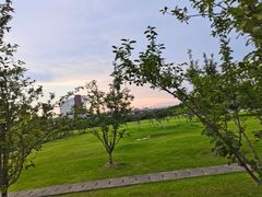 -南京医科大学(江宁校区)