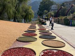 -新安江山水画廊风景区
