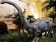 -国家自然博物馆