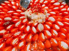 -水哥卜卜贝(东晓·胜汇里店)