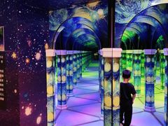 -天津梵高星空艺术馆(天河城旗舰店)