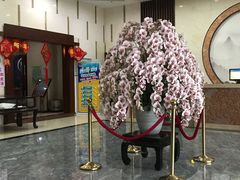 -水中央富硒温泉