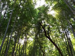 -杭州黄龙洞