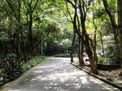 -火炉山森林公园
