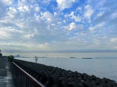 -上海滨江森林公园