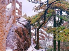-黄山风景区