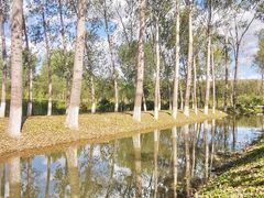 -东郊湿地公园