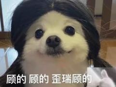 -高社长参鸡汤(高丽街店)