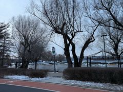 -长春市南湖公园