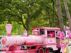 -合肥滨湖国家森林公园