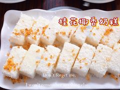 -周大娘牛乳(旧寨古村总店)