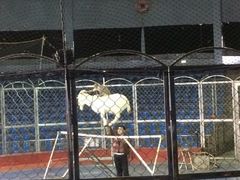 iphone_upload_pic-西安秦岭野生动物园