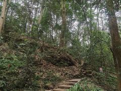-都江堰普照寺