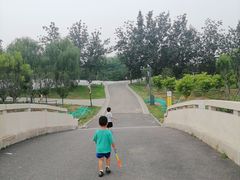 -东郊湿地公园