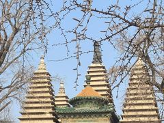 -北京石刻艺术博物馆(五塔寺)