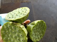 -临街徽菜馆·正宗黄山味