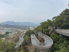 -福道