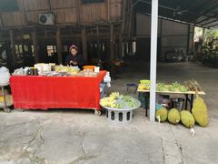 -西双版纳傣族园