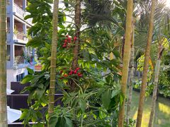 -石梅湾艾美度假酒店