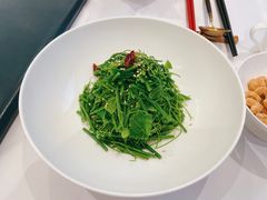 捞汁辣木苗-百盛·鼎膳(中海财富中心)