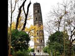 -上海佘山国家森林公园天马山园